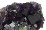 Cubic Fluorite, Galena and Sphalerite Association - Elmwood Mine #153331-2